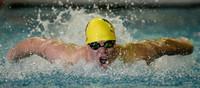 Swim and Diving Photo Gallery