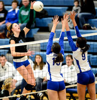Volleyball Photo Gallery